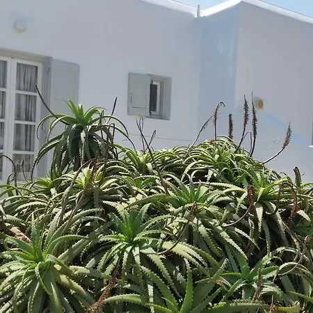 Appartement Anixi Top